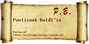 Pavlicsek Balázs névjegykártya